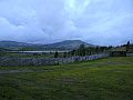 Nordkap 2009 568